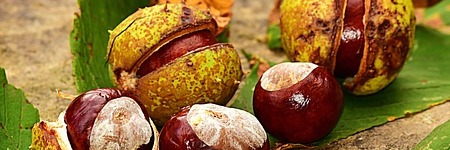 Energie update Geel Zaad levenspad 9 - 21 oktober 2022: Krachtig groeien met kleine stapjes